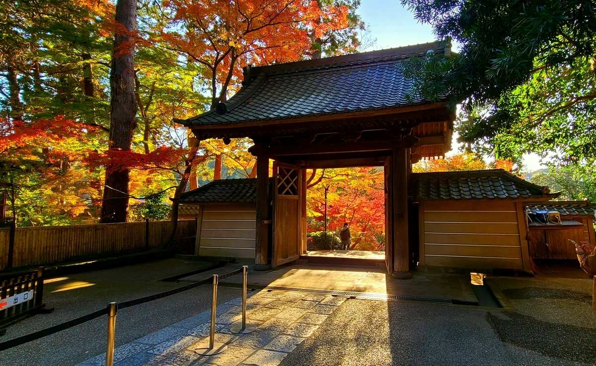 f:id:burakomi:20211205153055j:plain