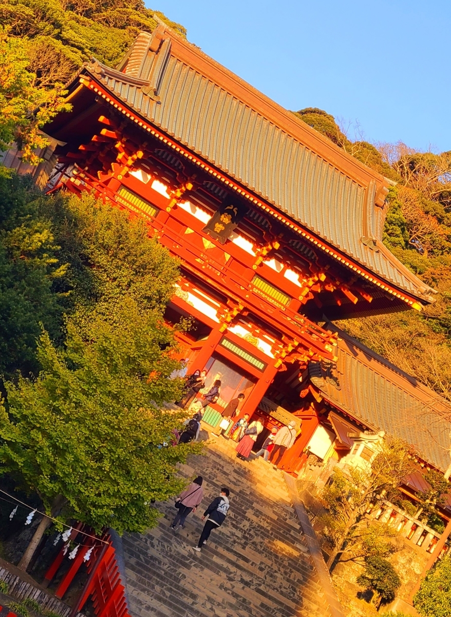 f:id:burakomi:20211205163911j:plain