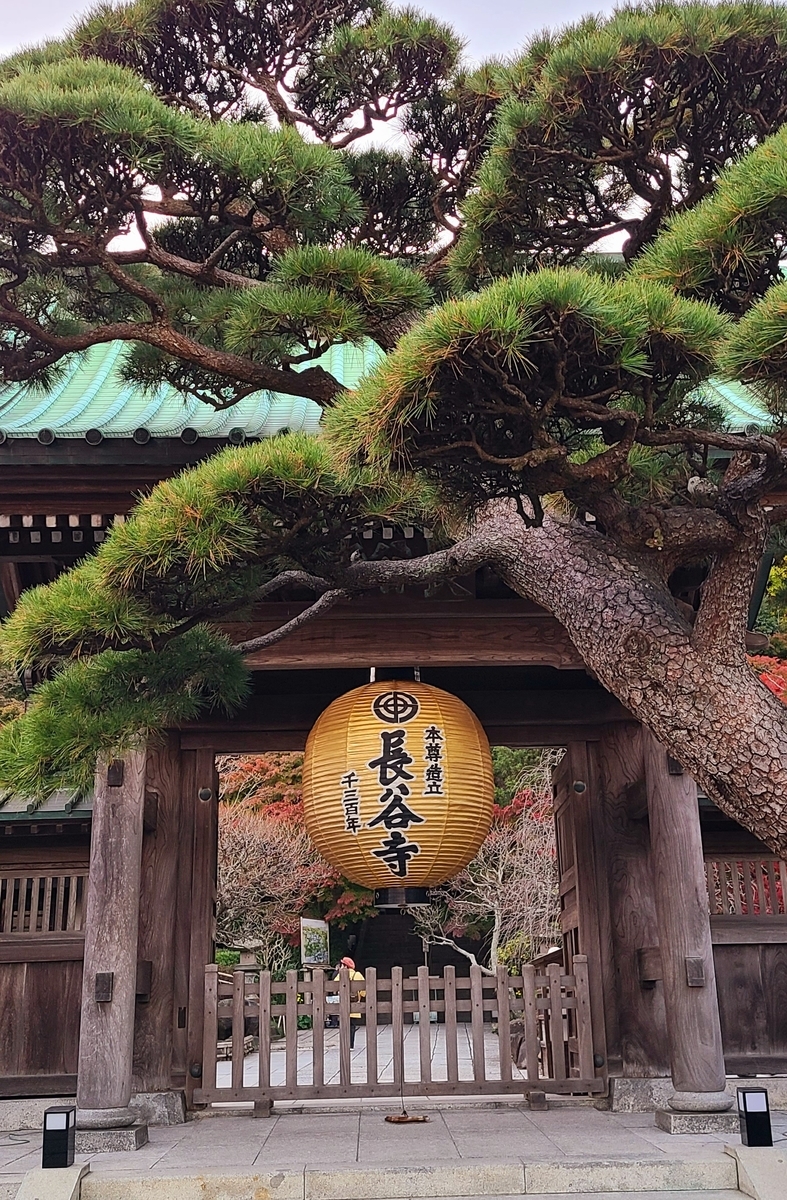 f:id:burakomi:20211205210224j:plain