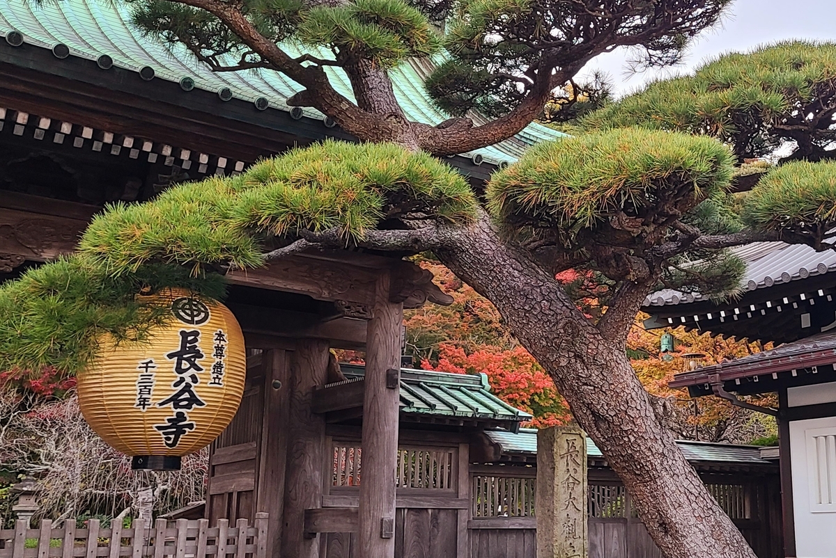 f:id:burakomi:20211205210316j:plain