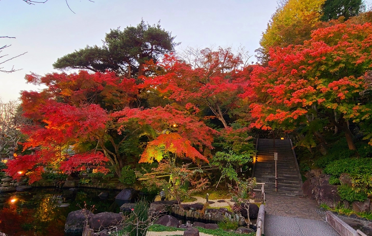 f:id:burakomi:20211205210703j:plain
