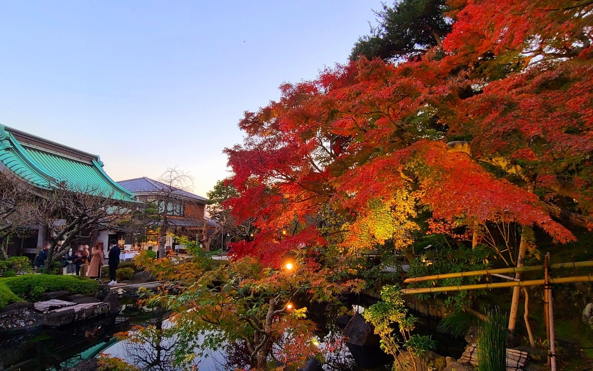 f:id:burakomi:20211205211002j:plain