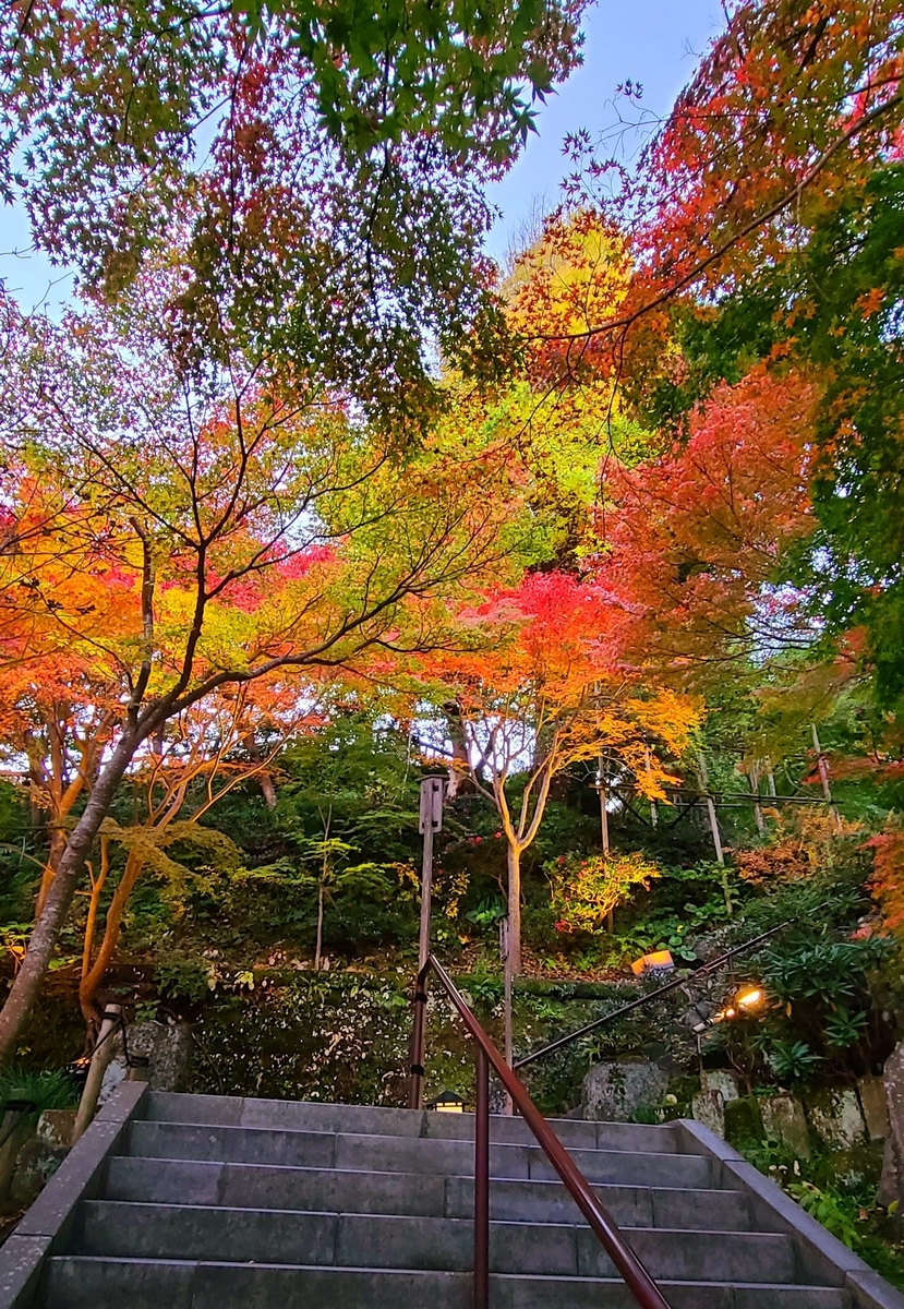 f:id:burakomi:20211205211137j:plain