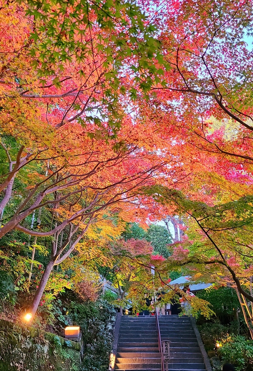 f:id:burakomi:20211205211202j:plain