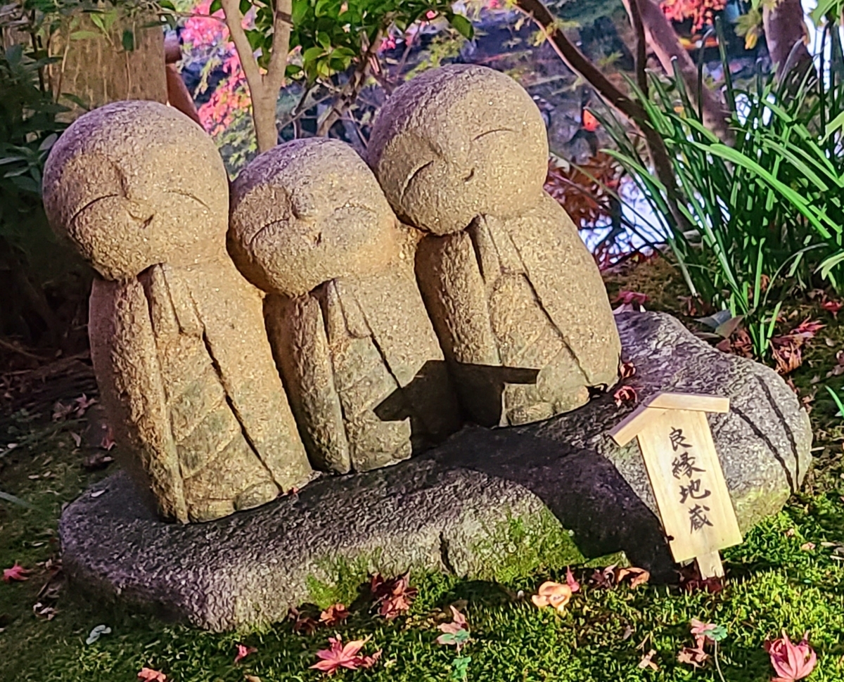 f:id:burakomi:20211205211304j:plain