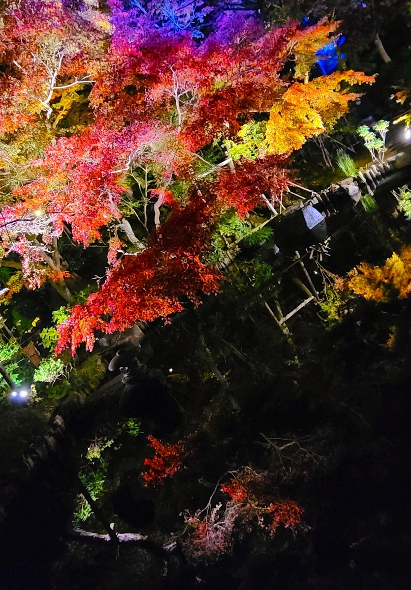 f:id:burakomi:20211205230023j:plain