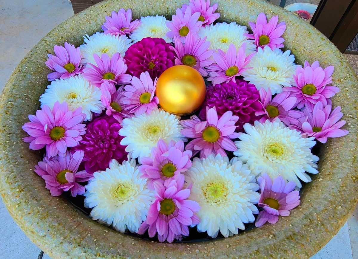 f:id:burakomi:20211207144247j:plain