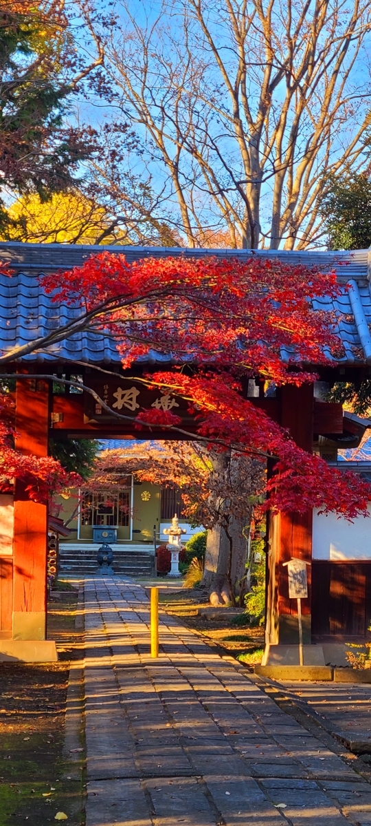 f:id:burakomi:20211207152023j:plain