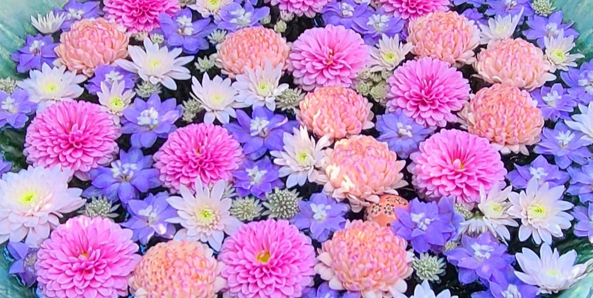 f:id:burakomi:20211207171741j:plain