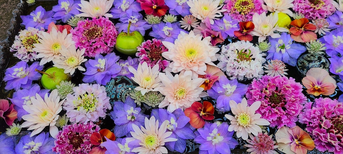 f:id:burakomi:20211207171831j:plain