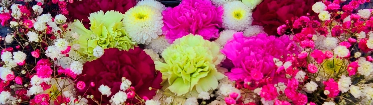 f:id:burakomi:20211207173532j:plain