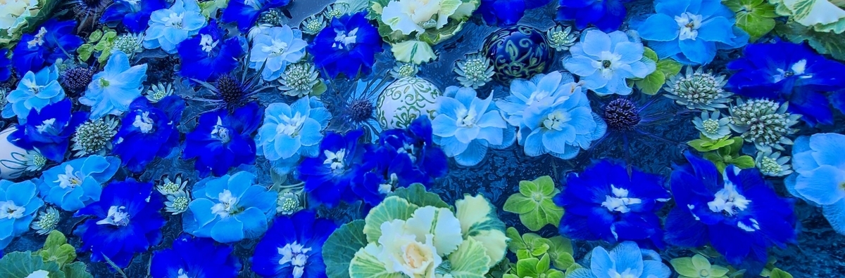 f:id:burakomi:20211207173705j:plain