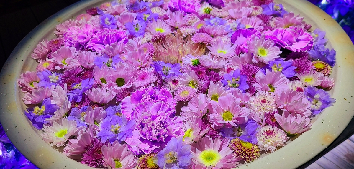 f:id:burakomi:20211211224740j:plain