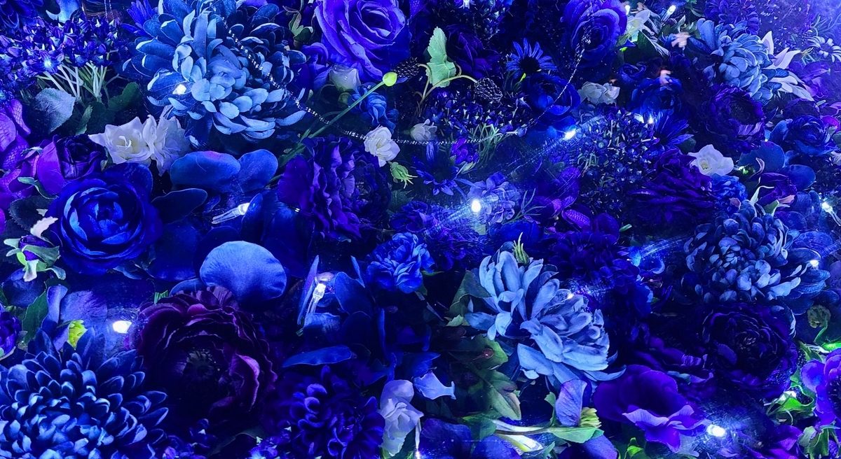 f:id:burakomi:20211211232543j:plain