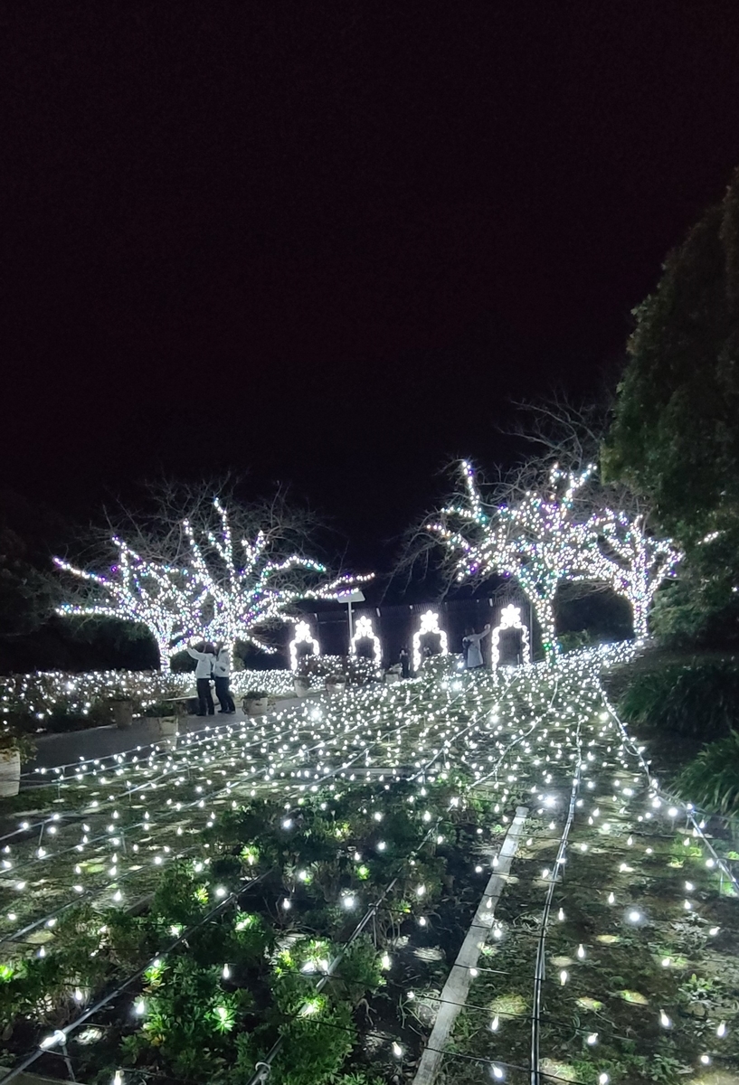 f:id:burakomi:20211220233619j:plain