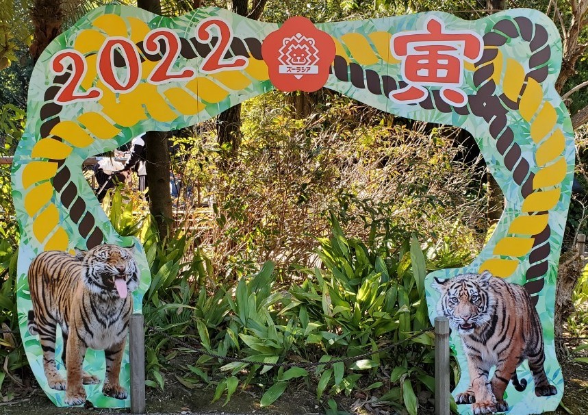 f:id:burakomi:20220103232807j:plain