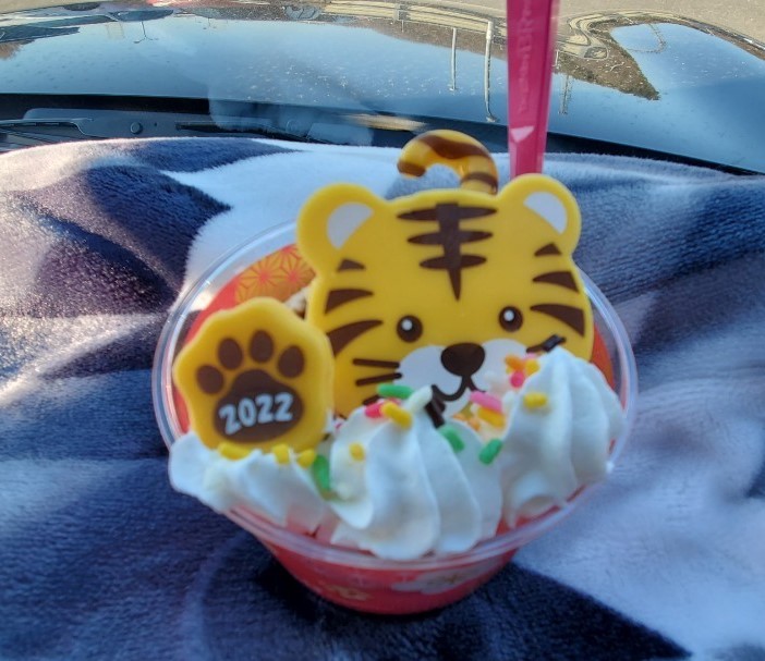f:id:burakomi:20220103234053j:plain