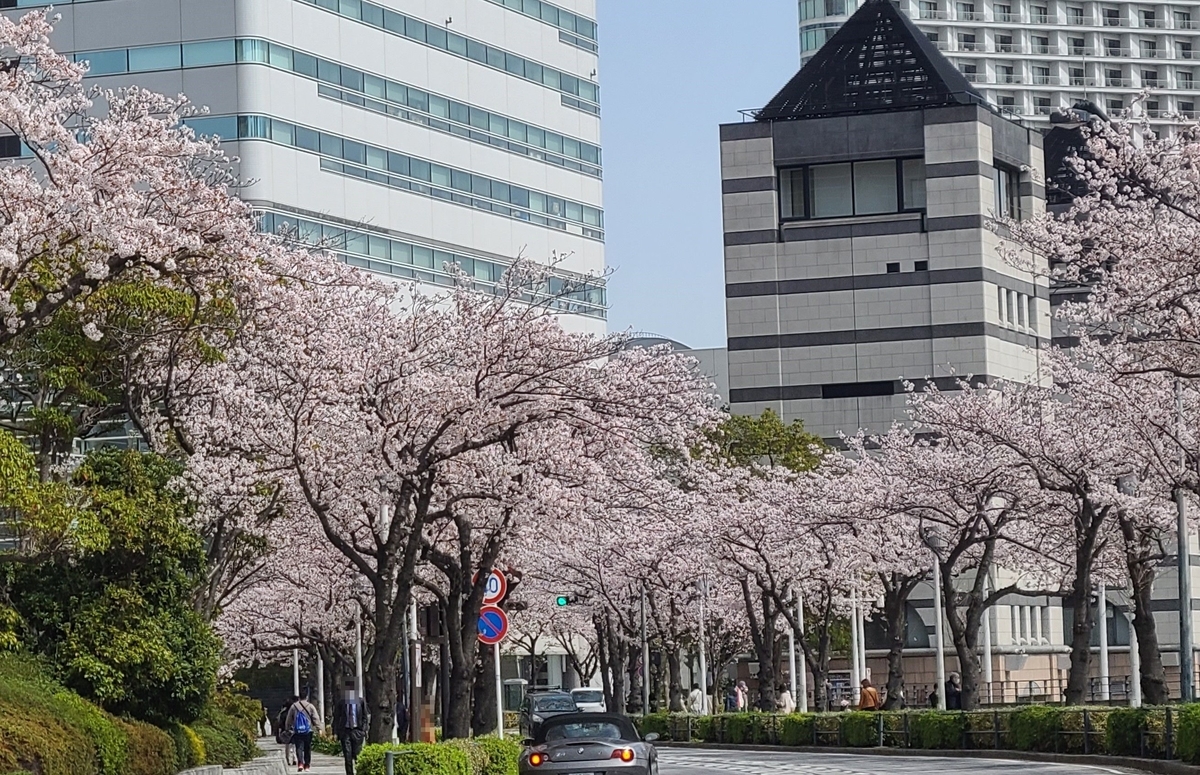 f:id:burakomi:20220406231637j:plain
