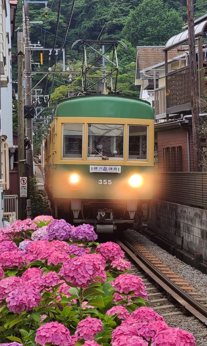 江ノ電 長谷 御霊神社 あじさい 夫婦銀杏　鉄道ジオラマ　Nゲージ 展示台 江ノ電 長谷 御霊神社 あじさい 夫婦銀杏 鉄道ジオラマ Nゲージ