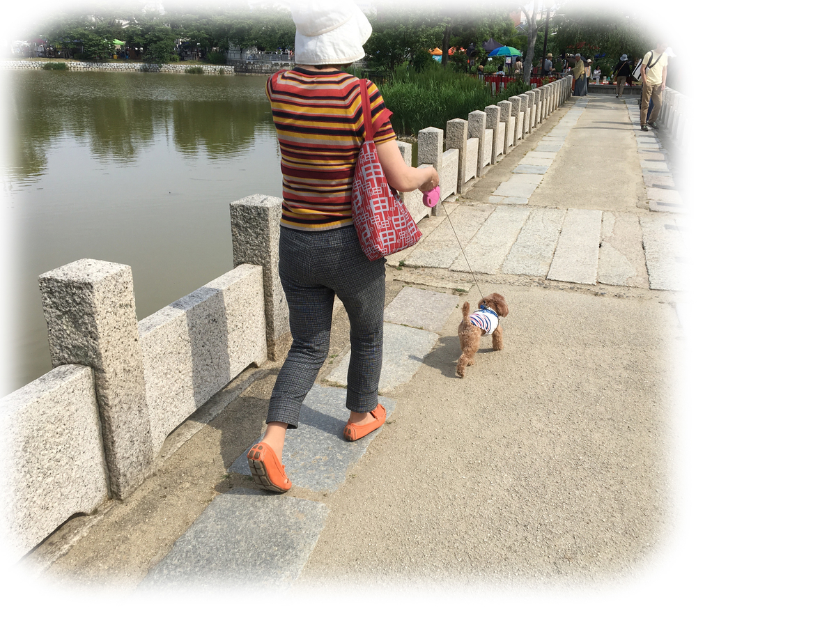 f:id:buraripurari:20190526191938j:plain f:id:buraripurari:20190526191938j:plain
