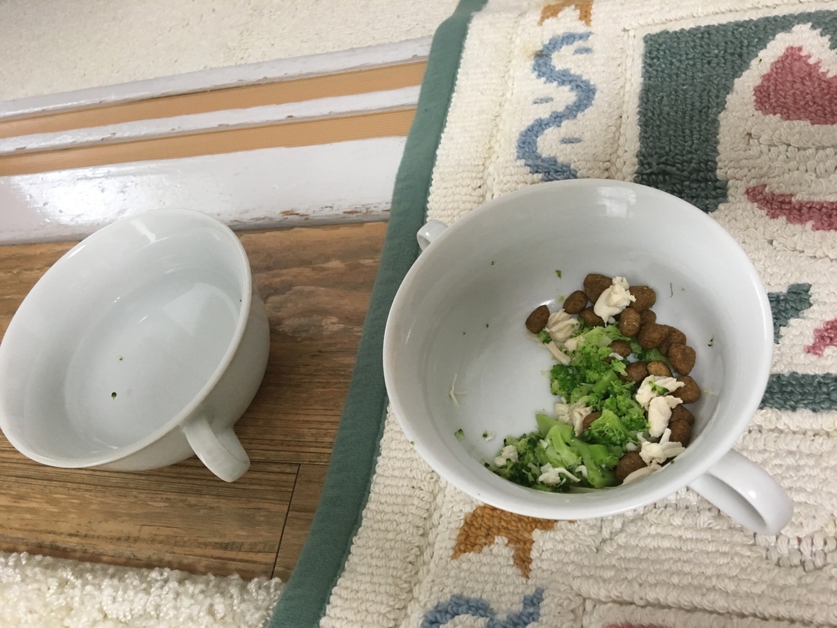 f:id:buraripurari:20190609182002j:plain