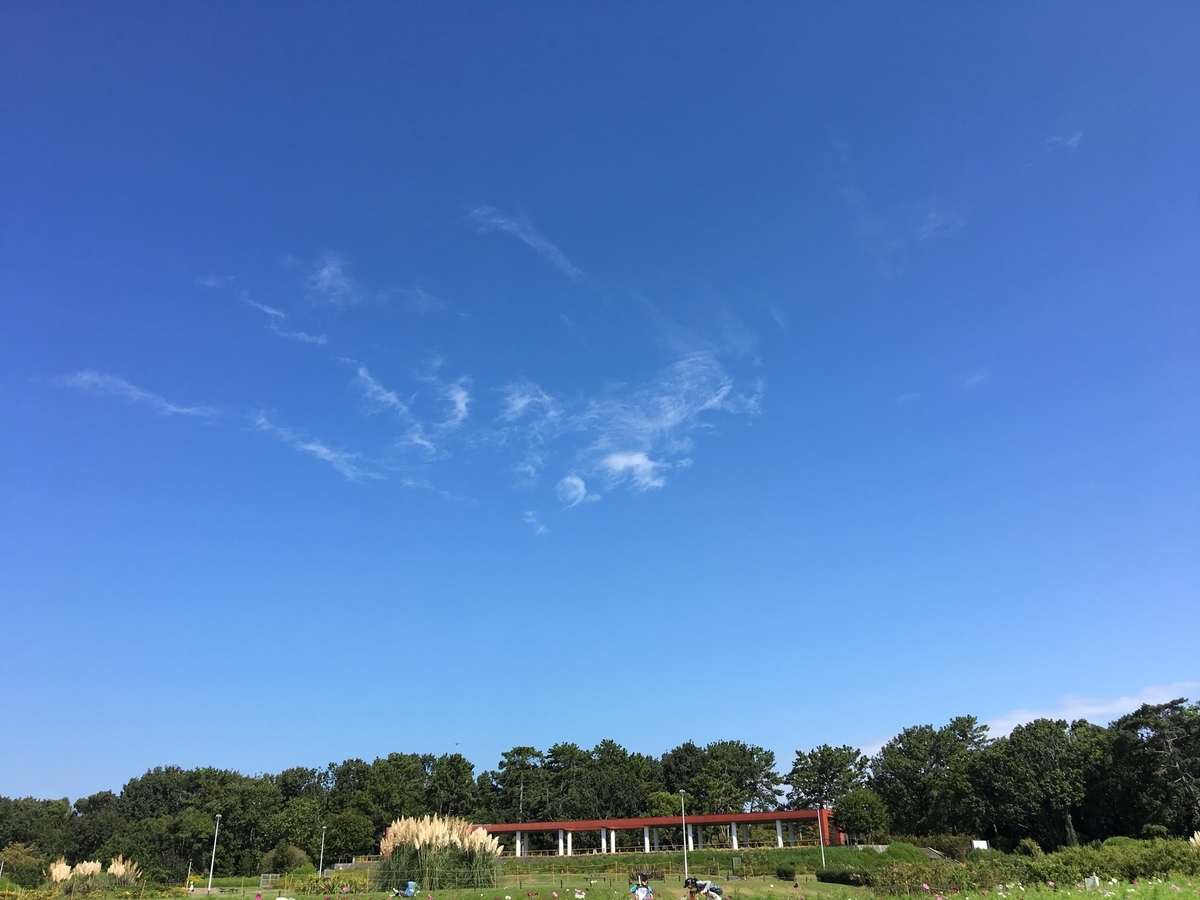 f:id:buraripurari:20191007155005j:plain