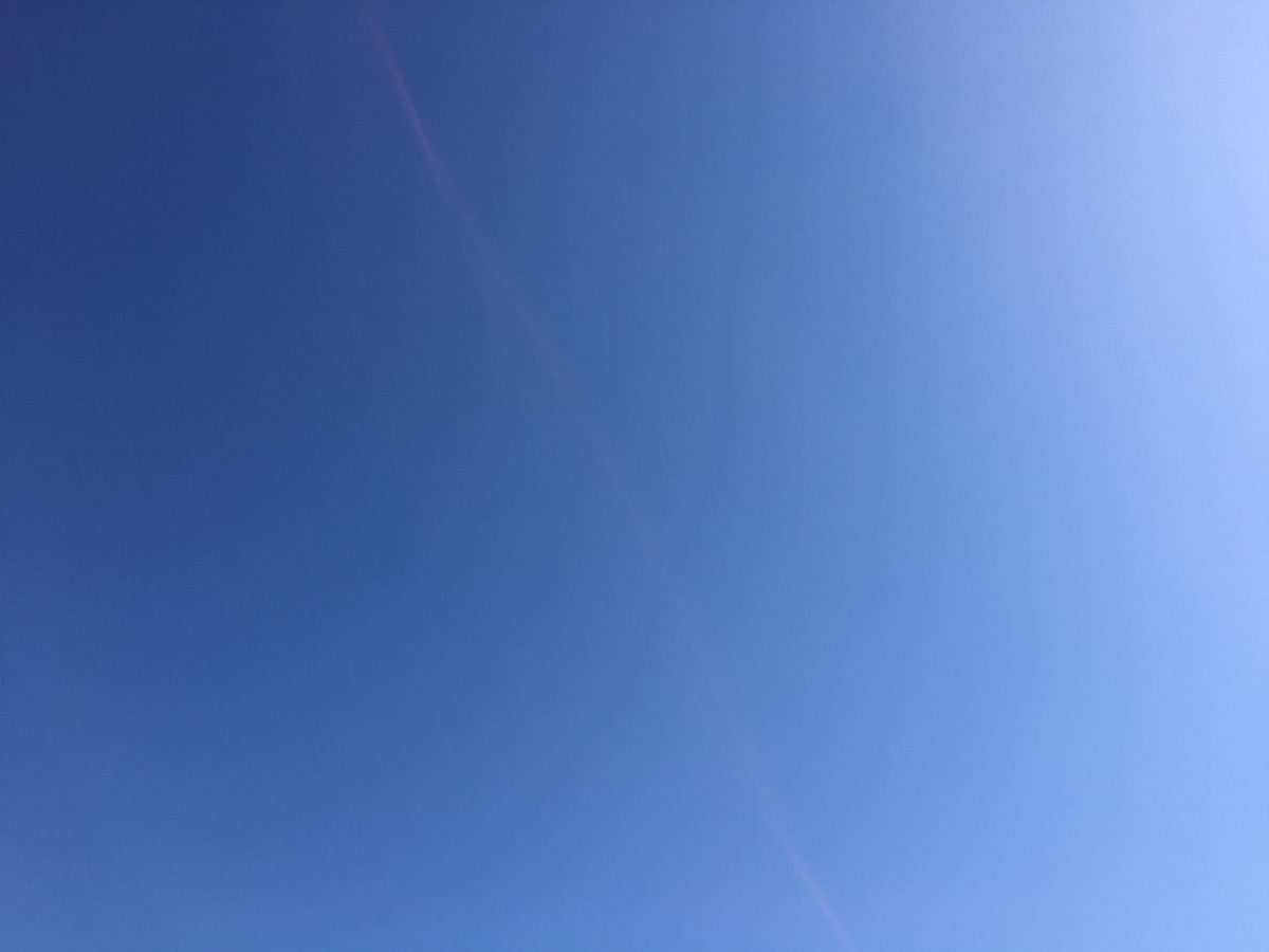 f:id:buraripurari:20191113121833j:plain