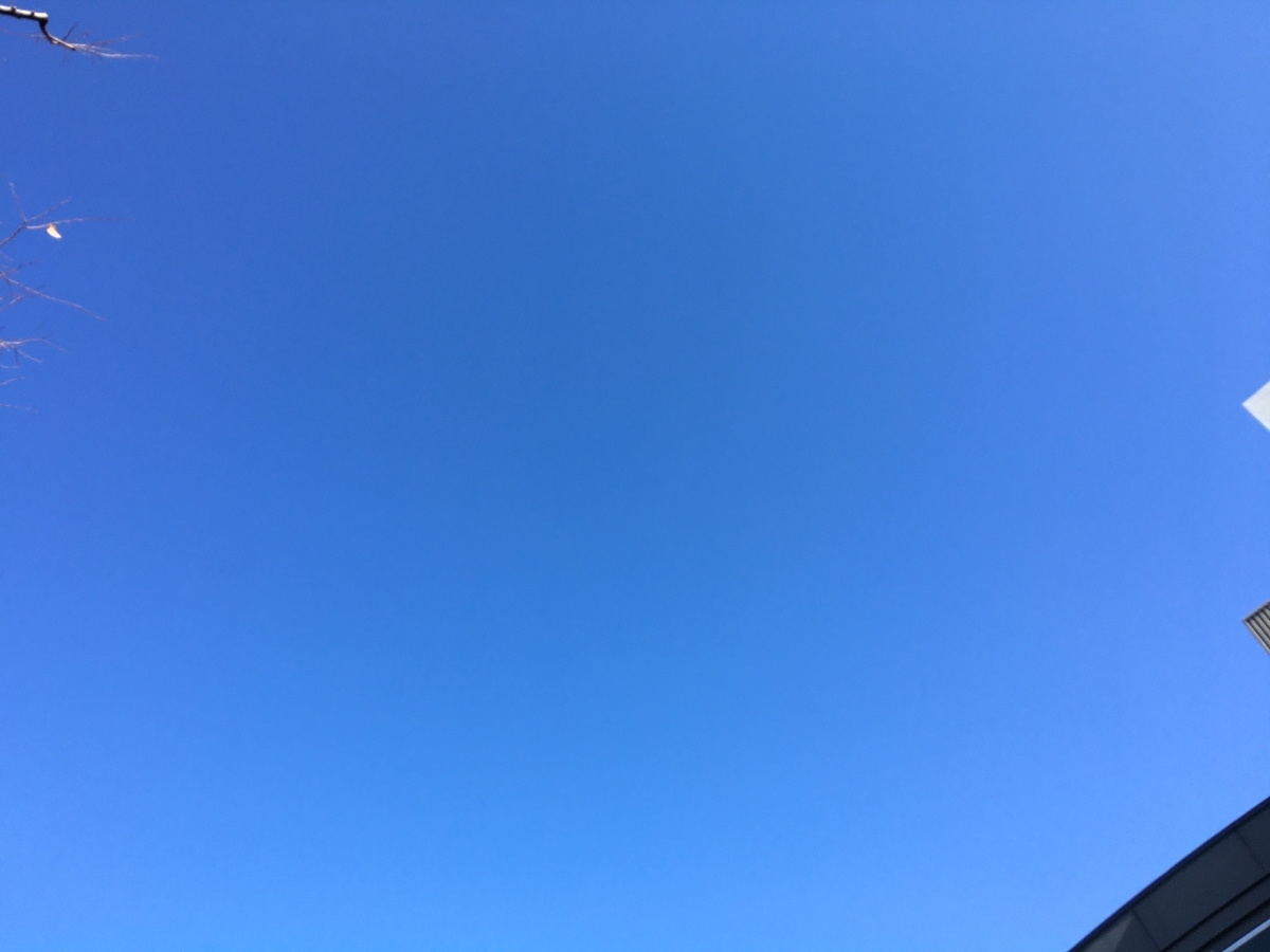 f:id:buraripurari:20191229171910j:plain