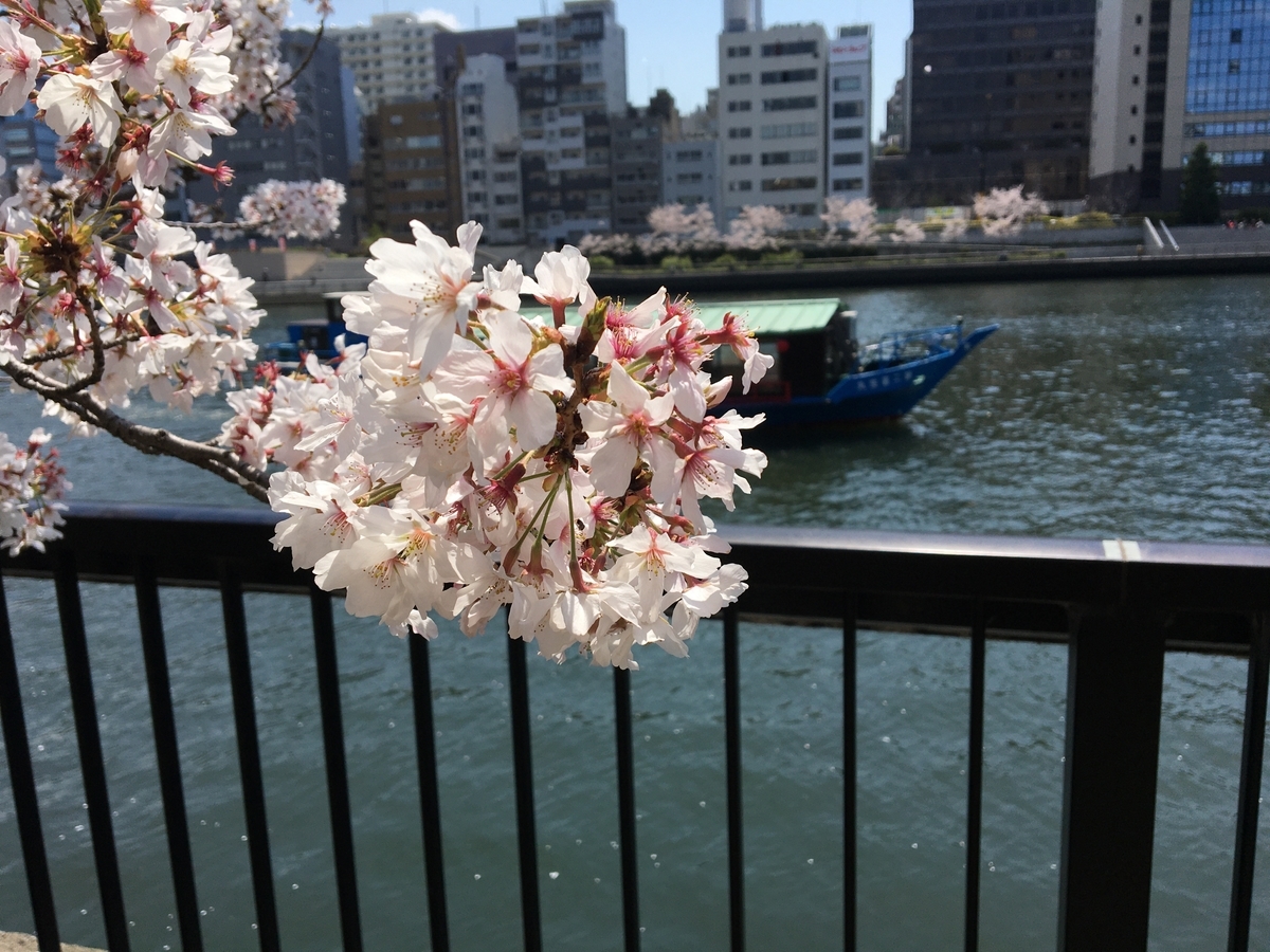 f:id:buraripurari:20200406132132j:plain