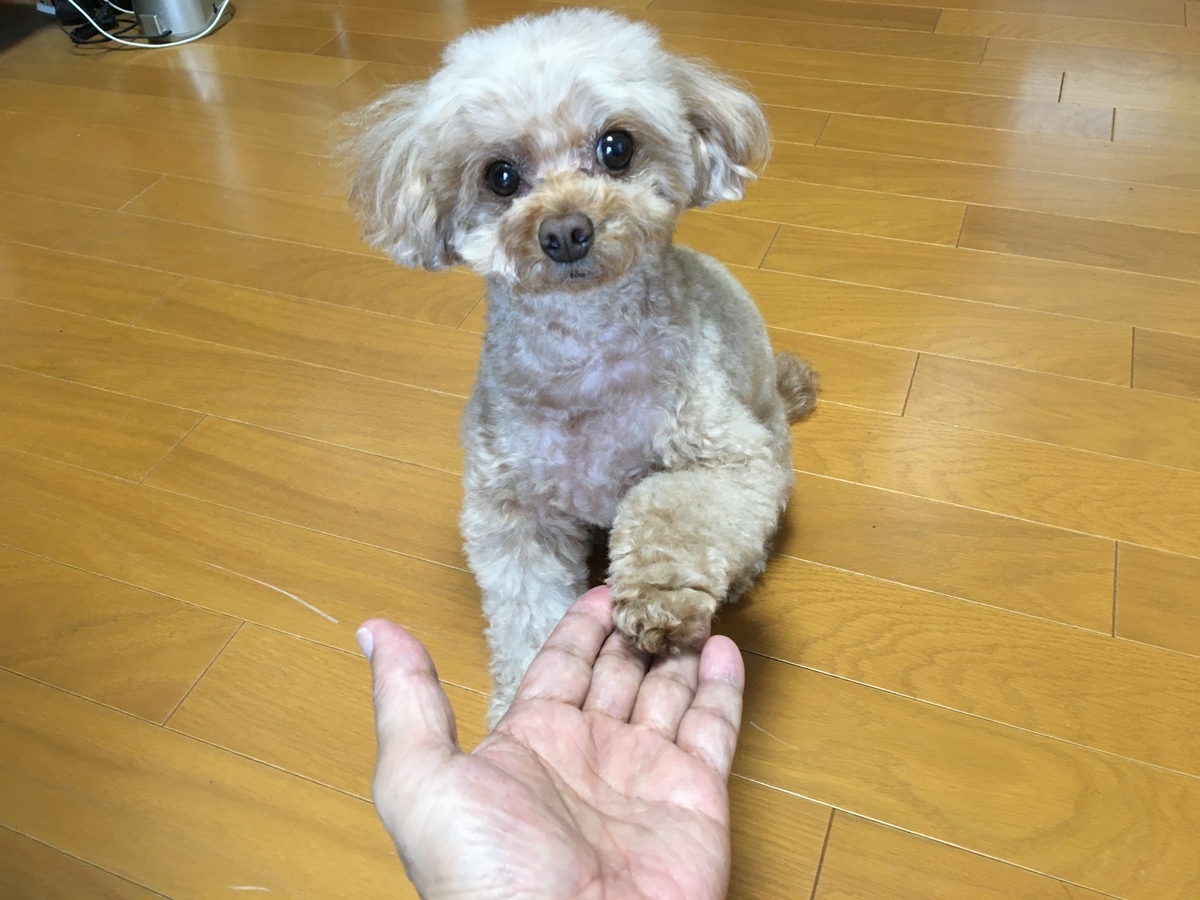 f:id:buraripurari:20210518173332j:plain