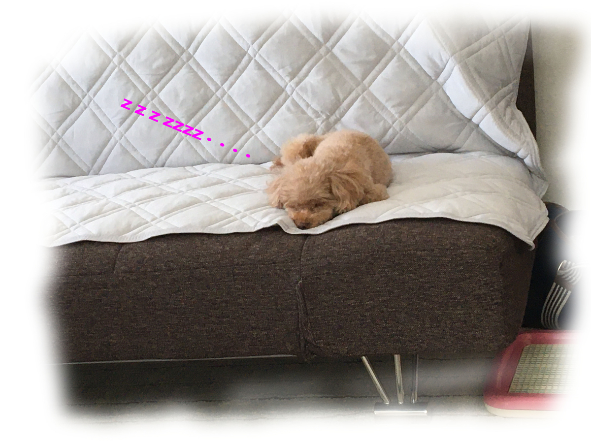 f:id:buraripurari:20210729195411j:plain