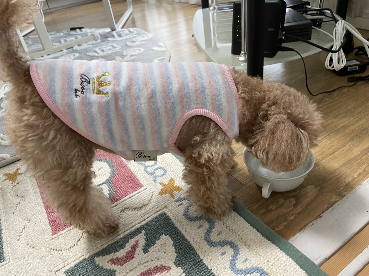 f:id:buraripurari:20211031205748j:plain