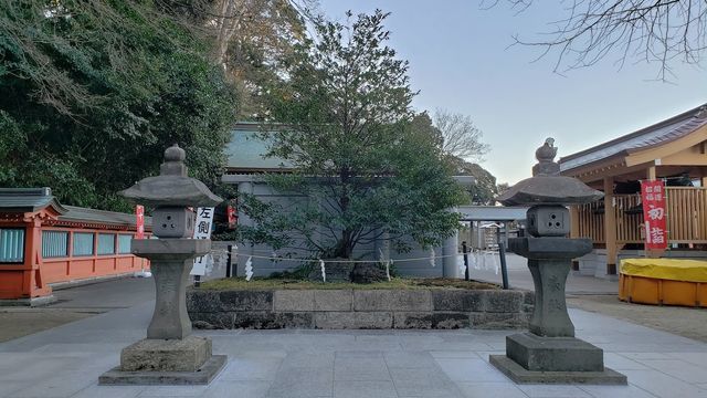 富岡八幡宮の境内