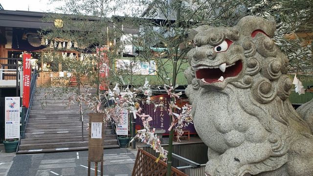 菊名神社の境内と狛犬