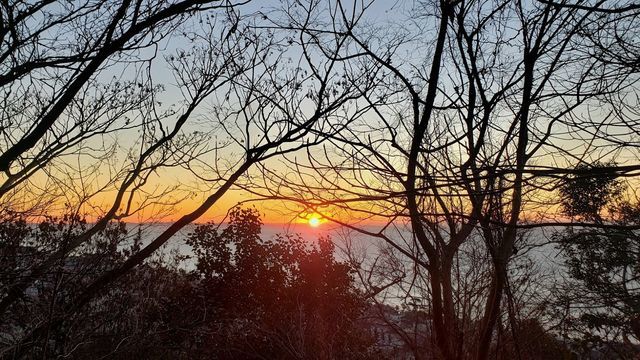 吾妻山公園から日の出を見る