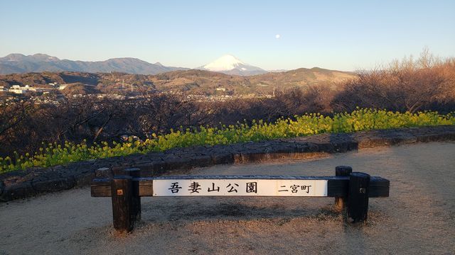 吾妻山公園