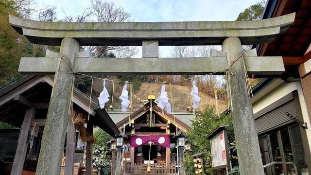 新羽総鎮守/杉山神社の鳥居と拝殿