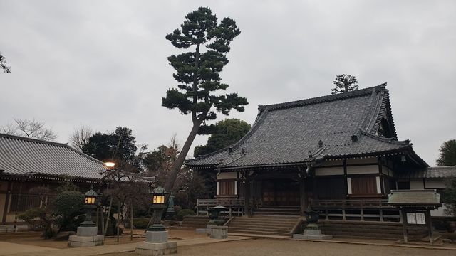 慶元寺の境内