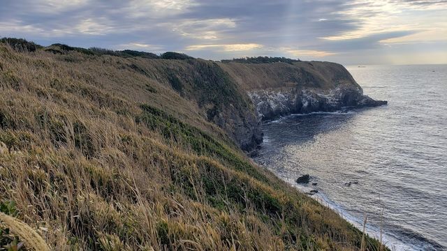 城ケ島　ウミウ展望台