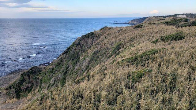 城ケ島公園の第二展望台からの眺望　富士山