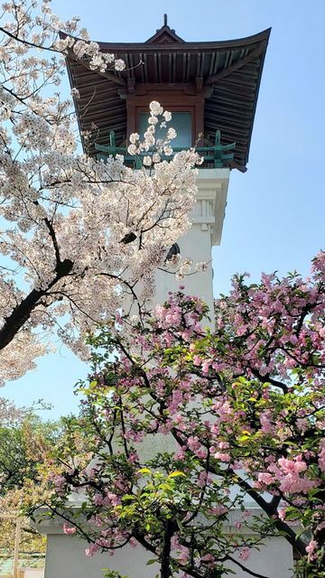伊勢山皇大神宮