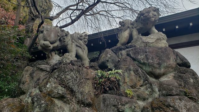 等々力玉川神社の石獅子
