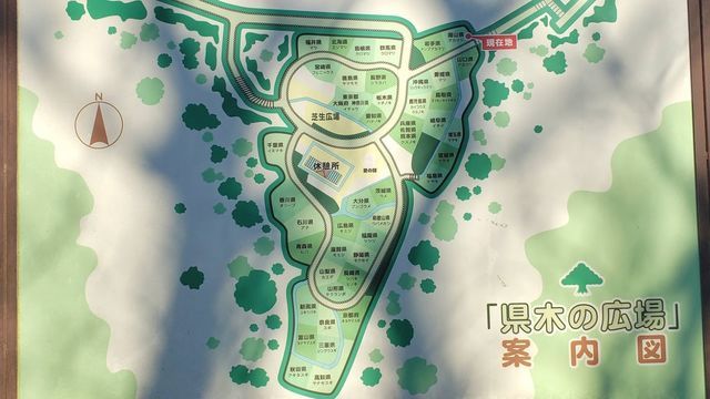 くりはま花の国/県木の広場