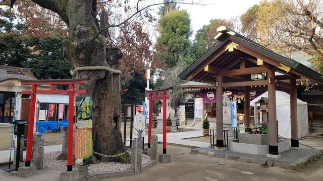 新田神社の境内