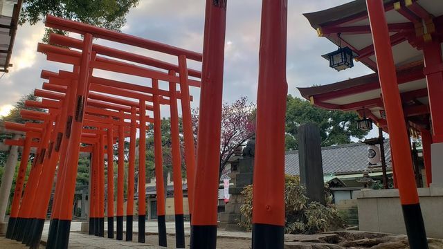 品川神社境内社/阿那稲荷神社の千本鳥居