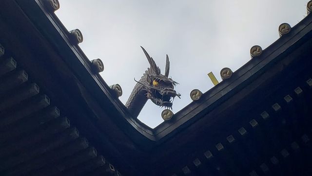 荏原神社の龍神様