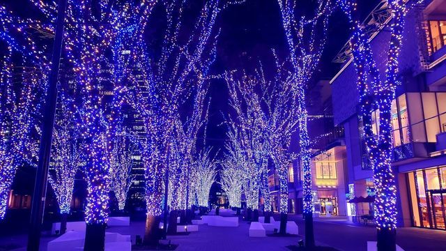 みなとみらい夜景/横浜美術館とマークイズ