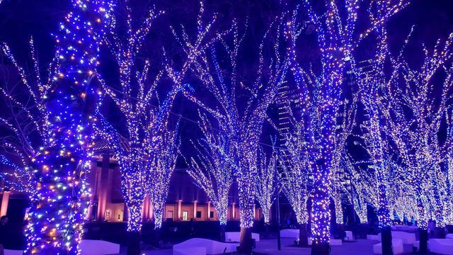 みなとみらい夜景/横浜美術館とマークイズ