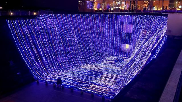 みなとみらい夜景/ドックヤードガーデン