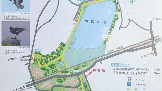 三浦海岸小松が池公園案内板